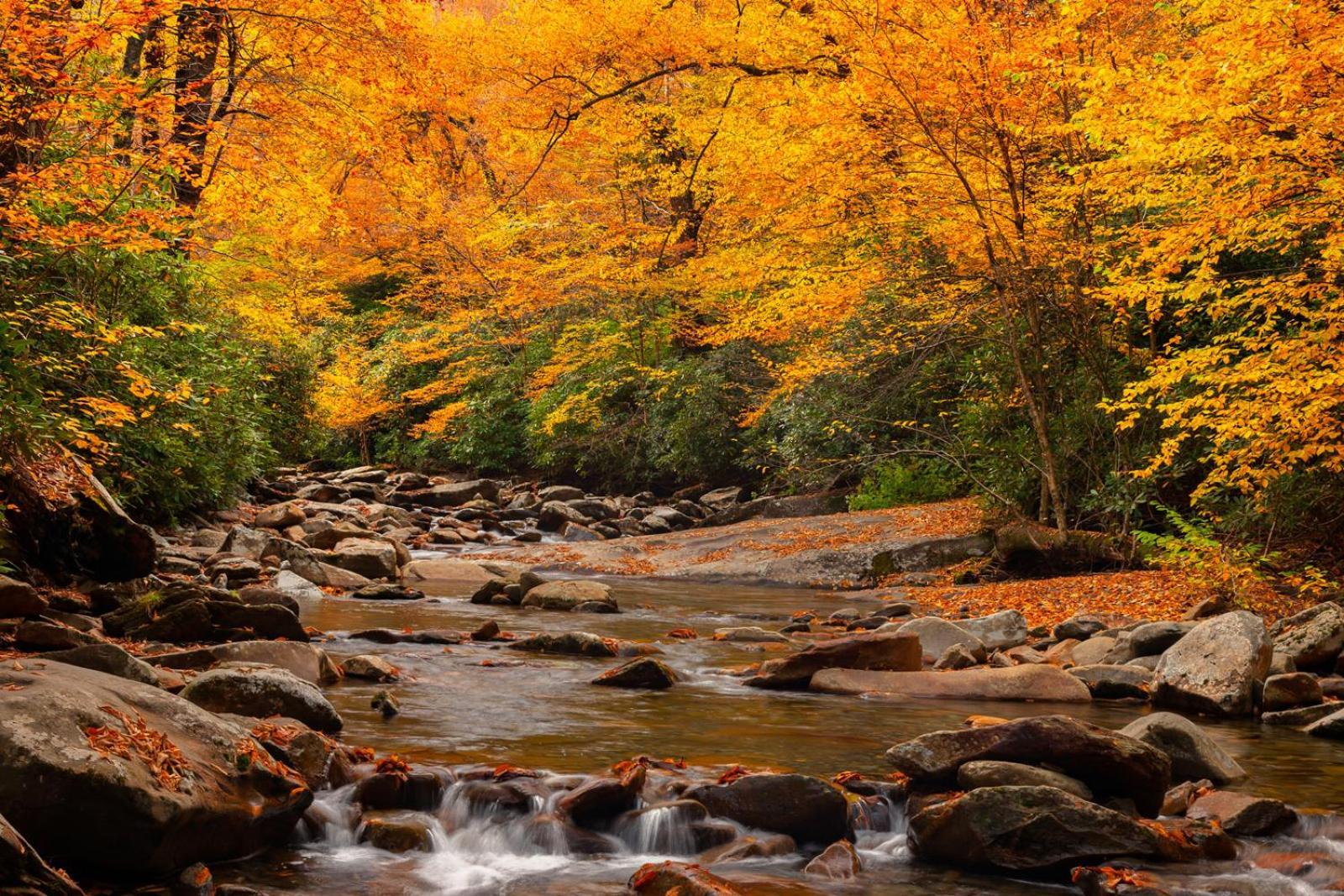 Romantic, Honeymoon Cabin In The Smokies! جاتلينبرج المظهر الخارجي الصورة